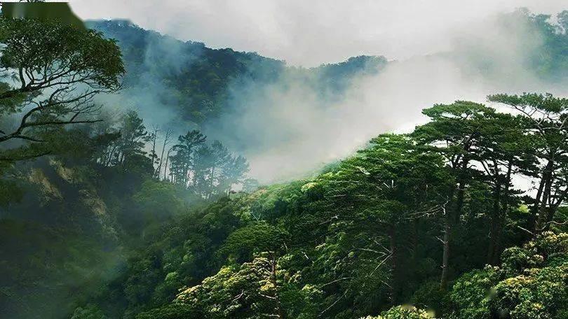2024年全国台联第三十届台胞青年冬令营重庆分营开营